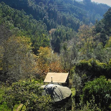 Green Man Yurt Penela Exterior photo