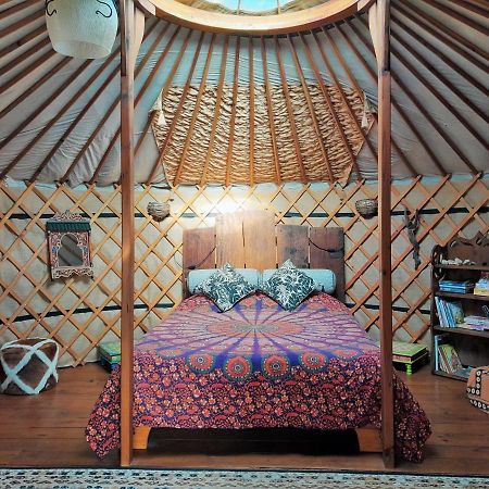 Green Man Yurt Penela Exterior photo