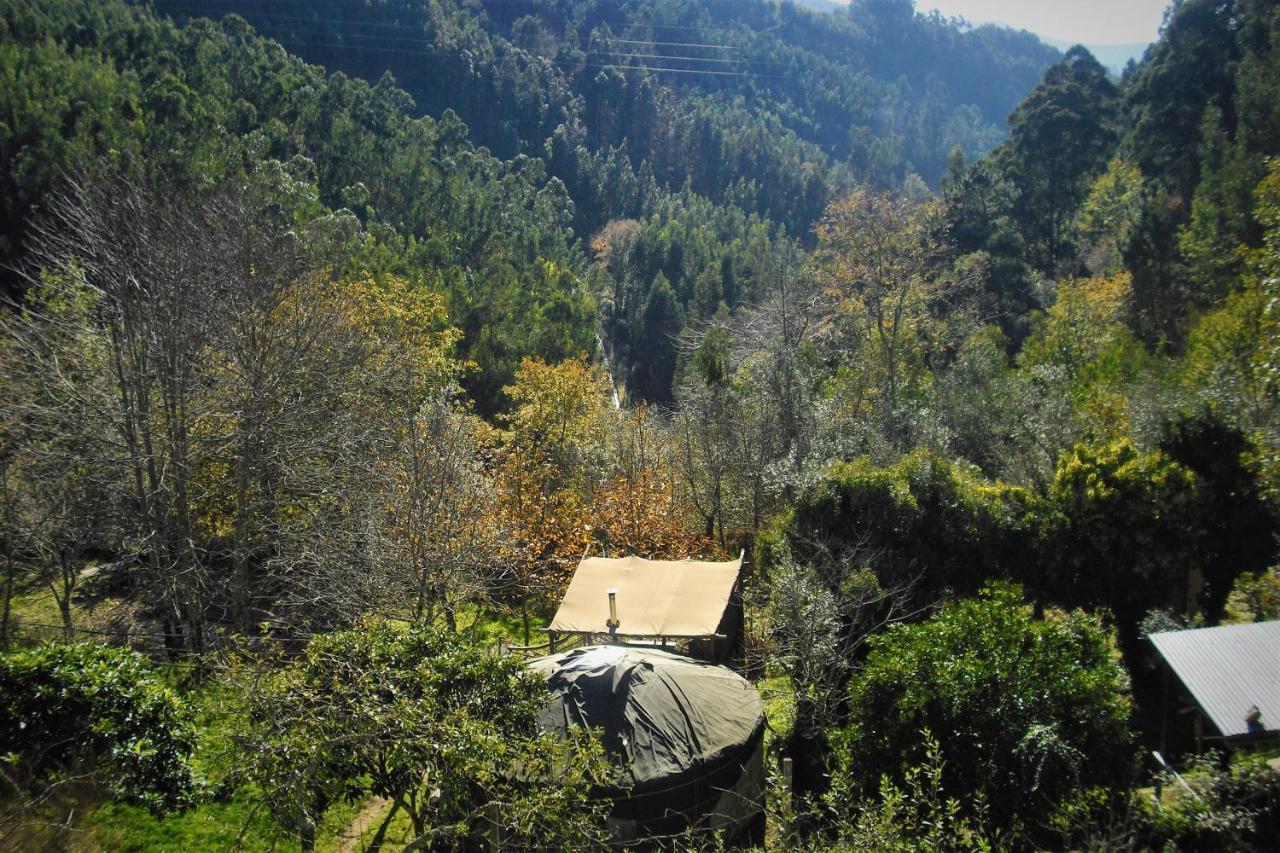 Green Man Yurt Penela Exterior photo