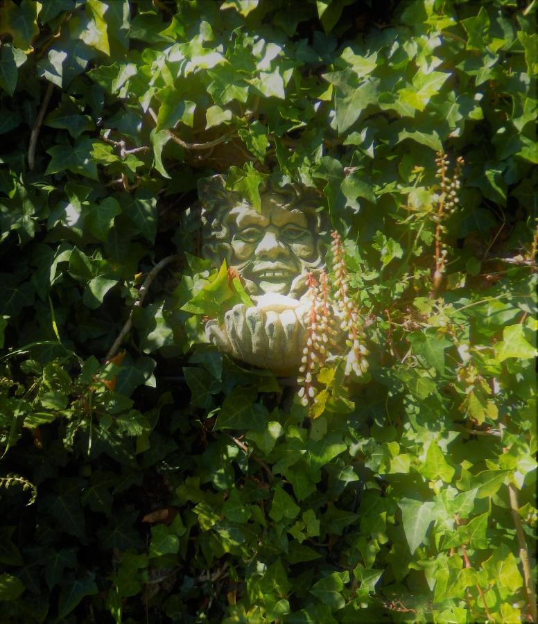 Green Man Yurt Penela Exterior photo